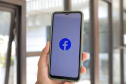 facebook insight
