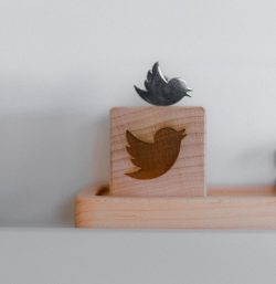 twitter stat