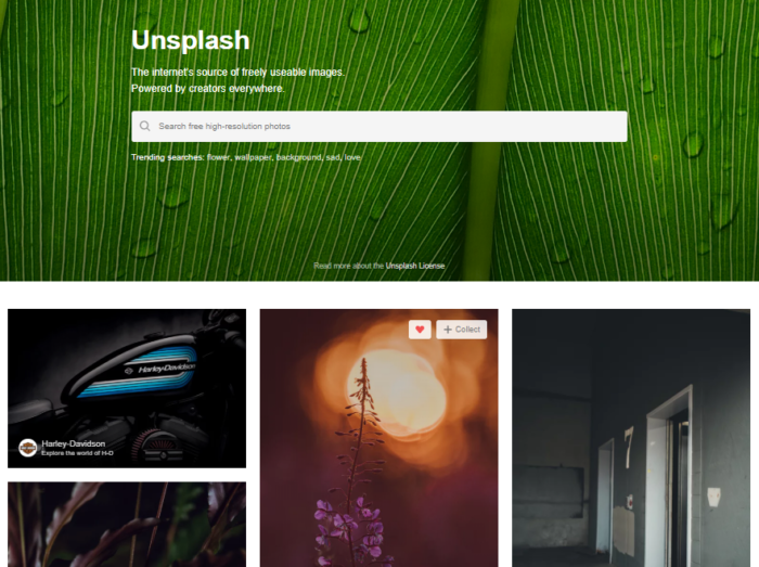 Unsplash social media