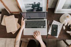 community manager